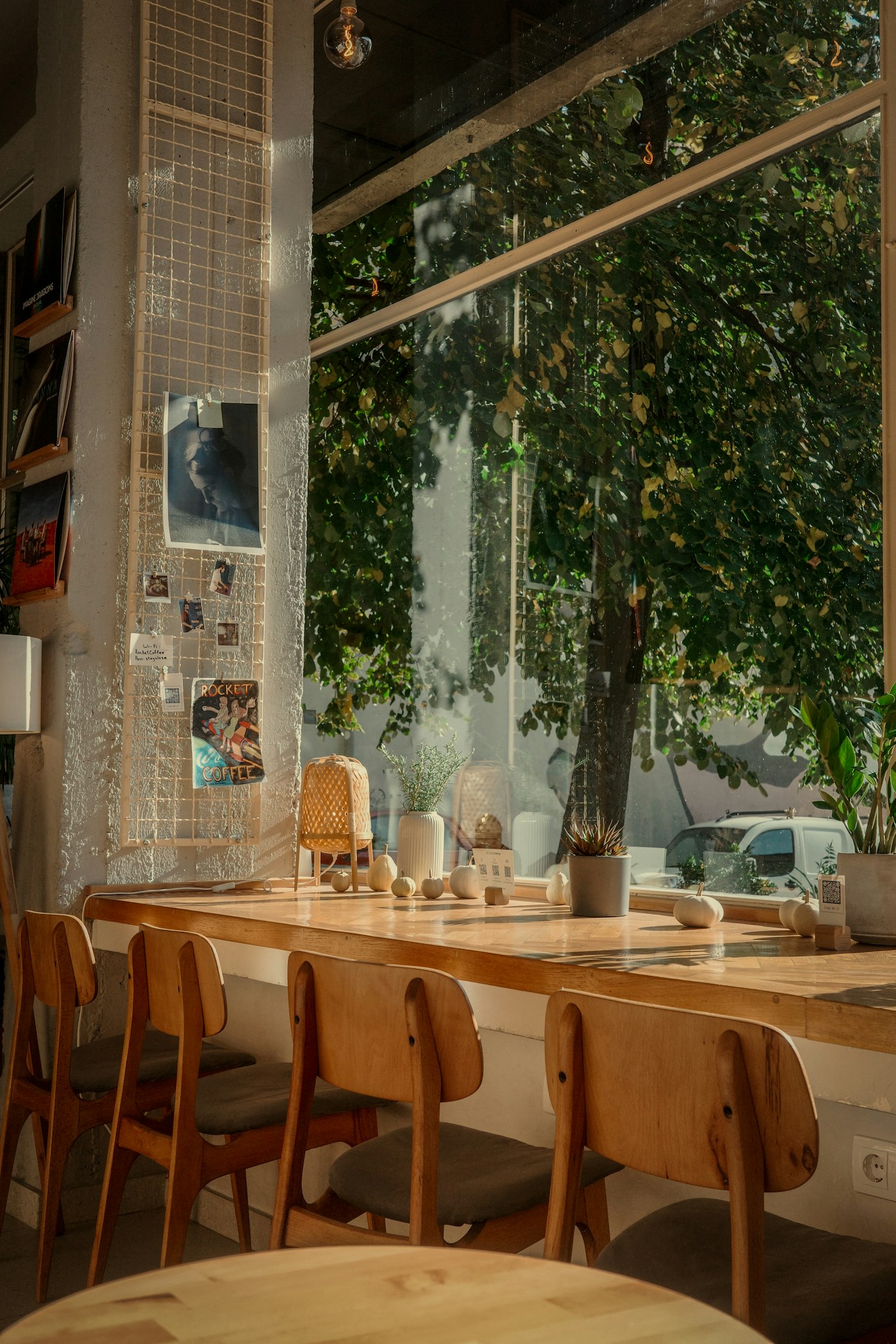 Sunlit café with wooden tables and greenery